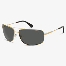 Polaroid Herren Sonnenbrille PLD 2101-S AOZ Matte Gold