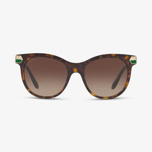 BVLGARI Damen Sonnenbrille BV8185B 504-13 55 Dark Havana 