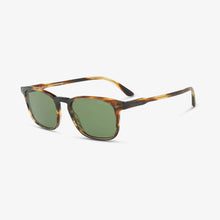 GIORGIO ARMANI Herren Sonnenbrille AR8103F 559052 53 Brown Havana