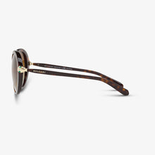 BVLGARI Damen Sonnenbrille BV8204B 504-T5 54 Dark Havana 