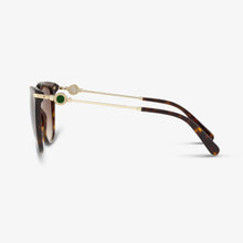 BVLGARI Damen Sonnenbrille BV8206 504-13 55 Dark Havana 