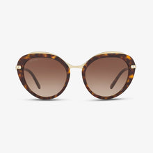 BVLGARI Damen Sonnenbrille BV8215B 504-13 55 DARK HAVANA 