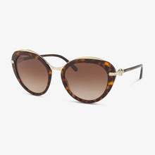 BVLGARI Damen Sonnenbrille BV8215B 504-13 55 DARK HAVANA 