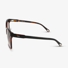 Chloè Damen Sonnenbrille CE734S 4 Black/Havana